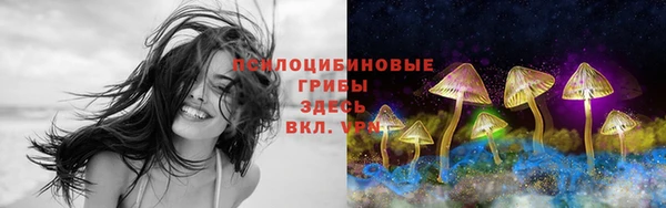прущий лед Богданович