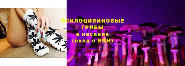эйфоретик Богородицк