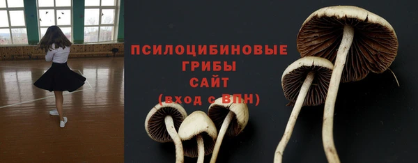 прущий лед Богданович