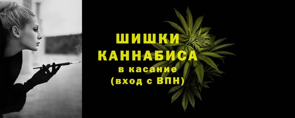 эйфоретик Богородицк