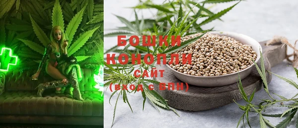прущий лед Богданович