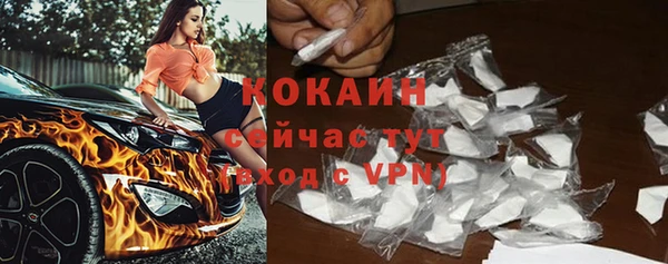 прущий лед Богданович