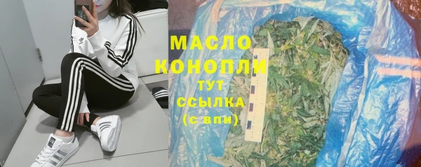 прущий лед Богданович