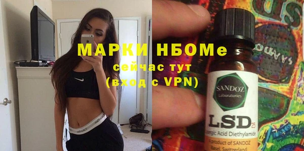 прущий лед Богданович