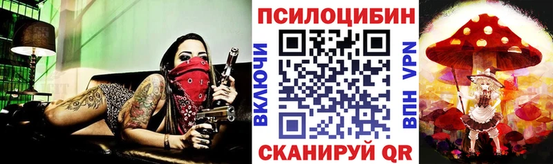 Псилоцибиновые грибы GOLDEN TEACHER Корсаков